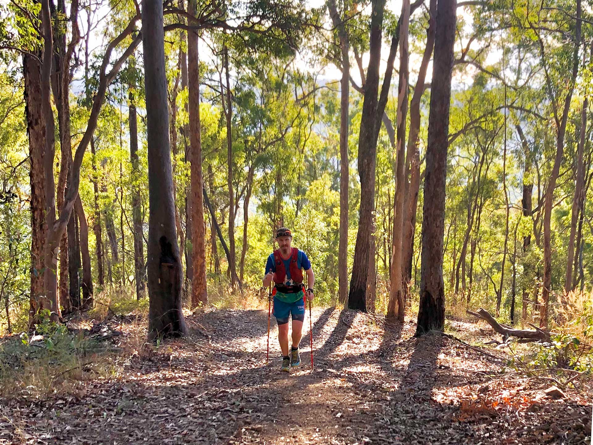 Chainsaw trail run loop – Brisbane trail running