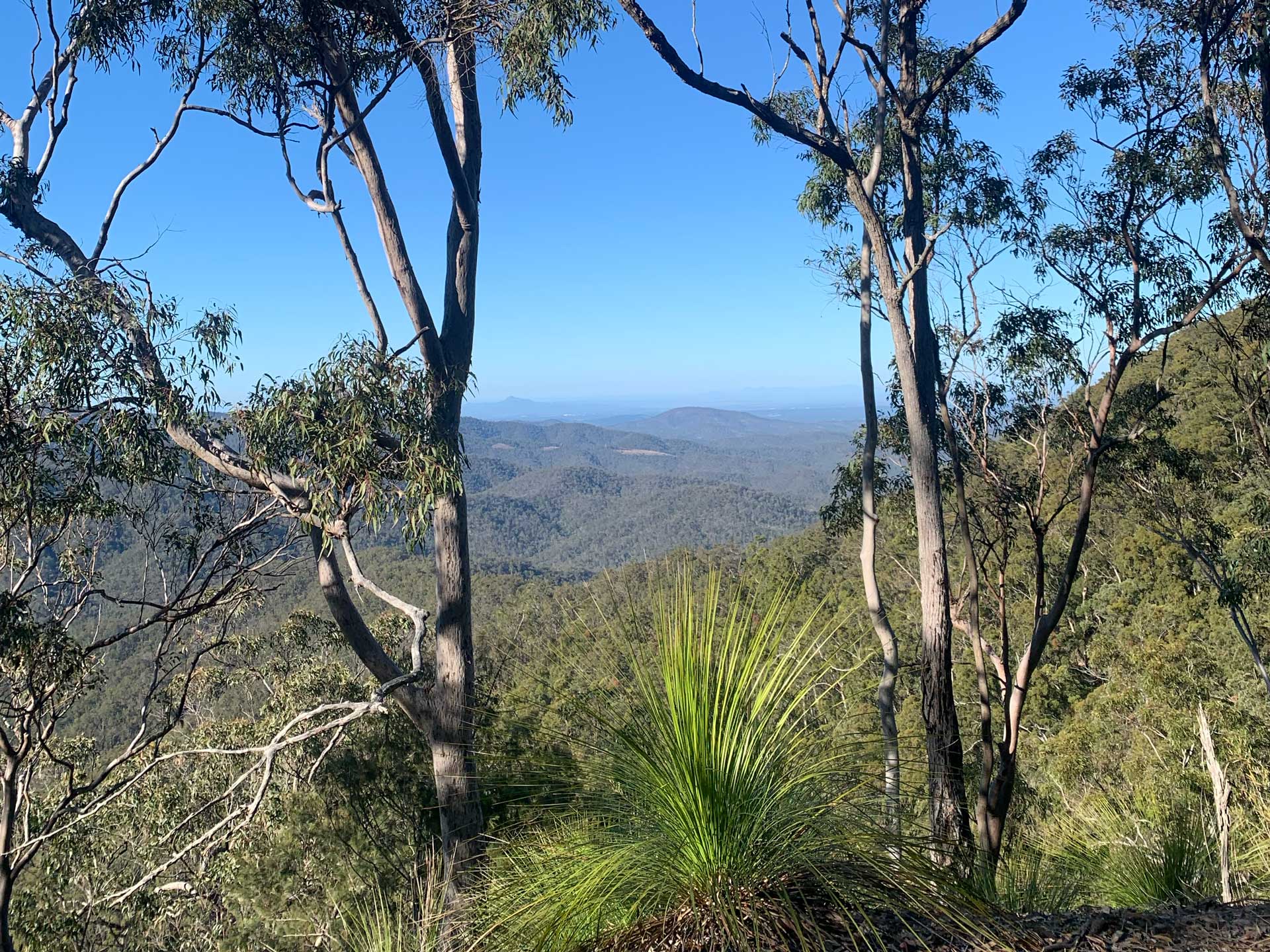 England creek trail running loop - Mt Glorious