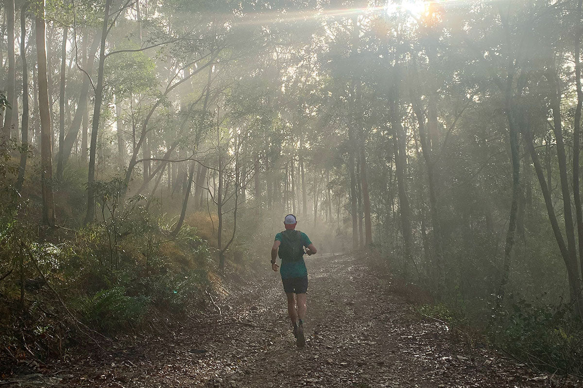 The Pinnacles Brisbane Trail Running Loop