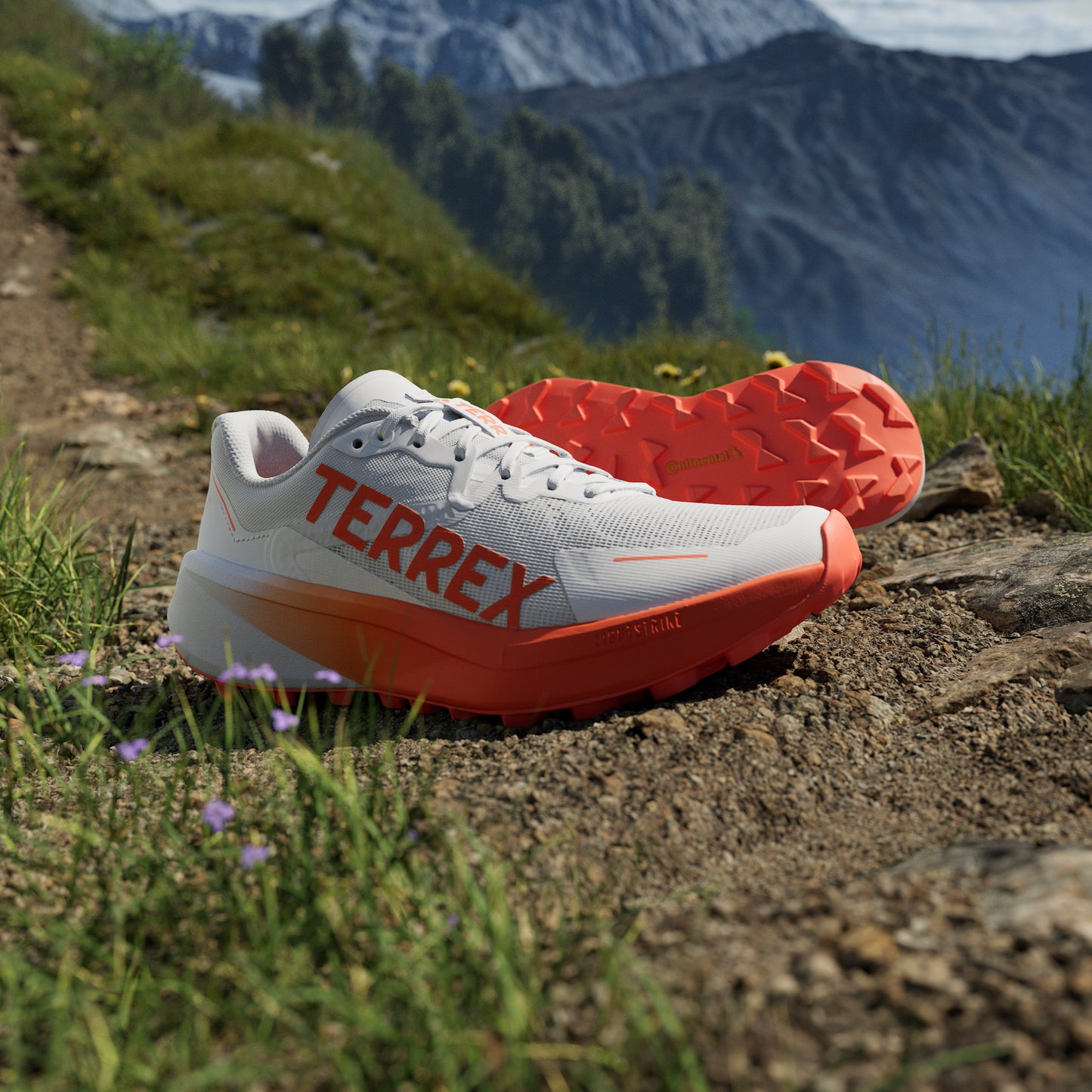 adidas Terrex Agravic 3 | Cloud White / Semi Impact Orange / Dash Grey | Womens