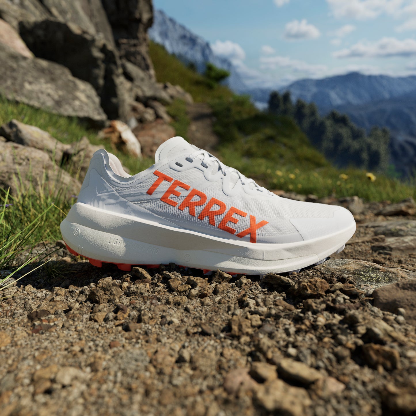 adidas Terrex Agravic Speed | Dash Grey / Impact Orange / Cloud White | Mens